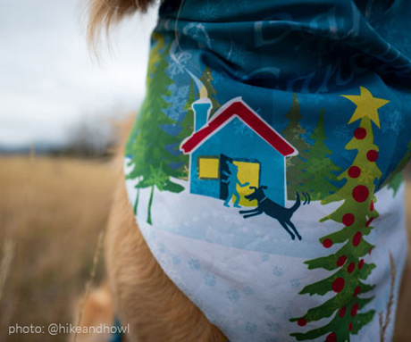 image of custom Doghouse Bandana