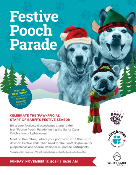 image of Doghouse Santa Event Poster