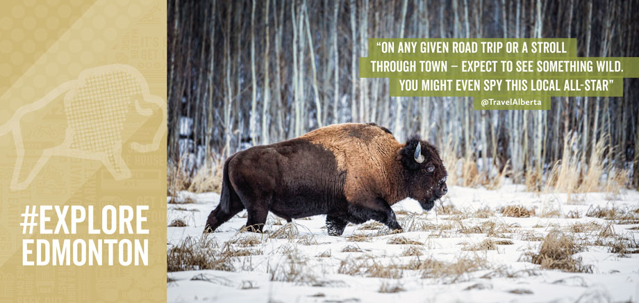 image of Explore Edmonton Airport Signage