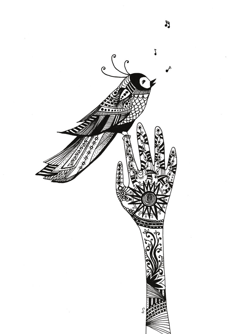 image of bird illustration
