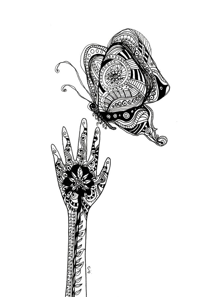 image of butterfly illustration