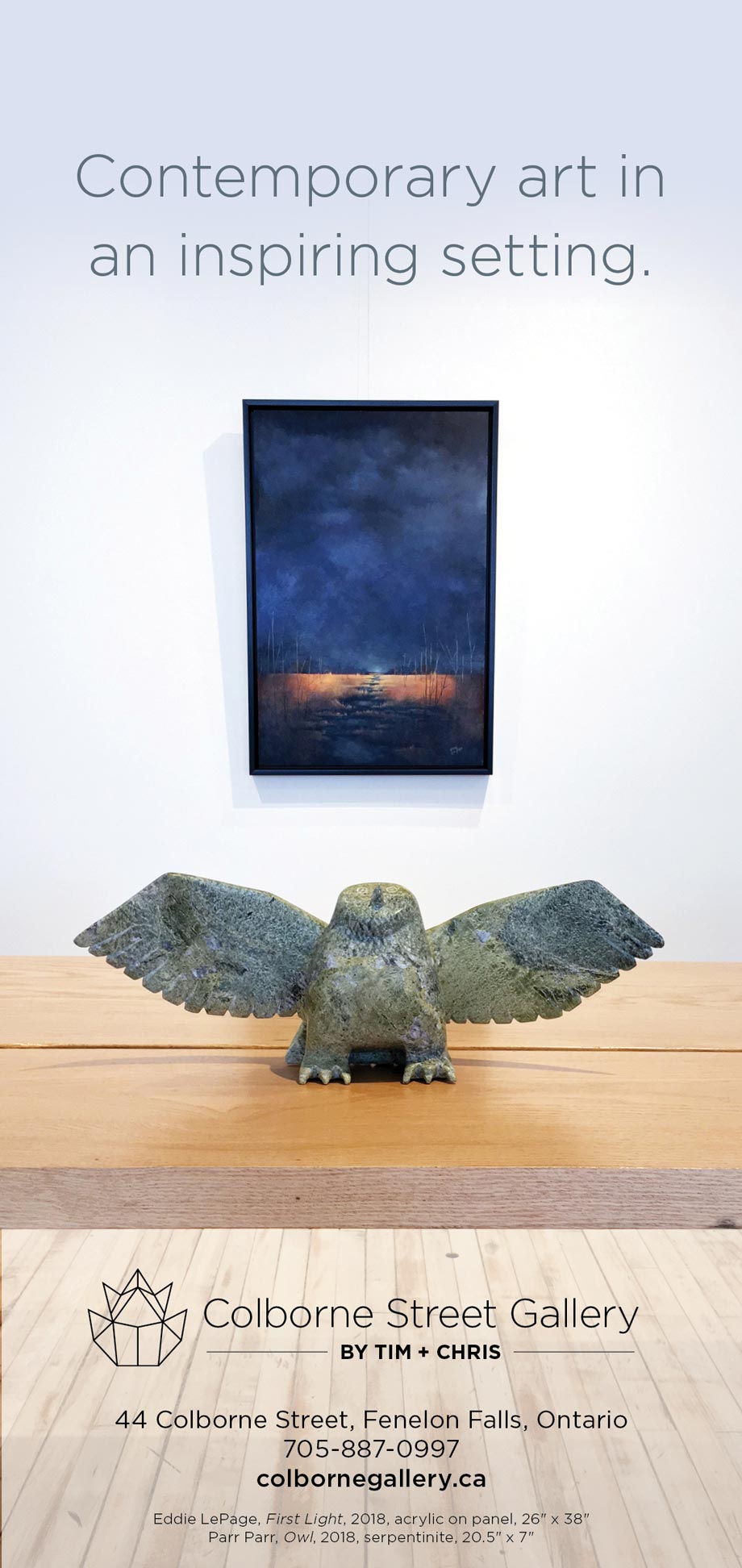 image of Colborne Street Gallery print ad